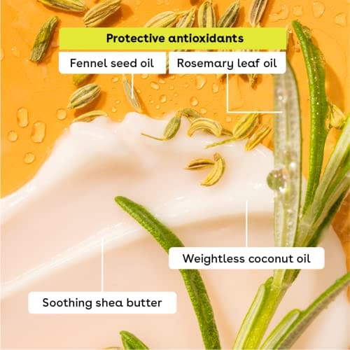 Lip balm (hidratante labios resecos). Sabor Artic, vainilla, menta dulce y eucalipto. Marca EOS (paquete de 4 unidades) - Imagen 6